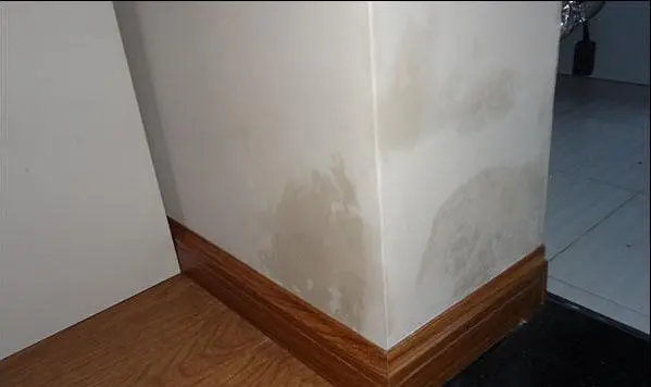 墙面渗水是哪些原因导致的？